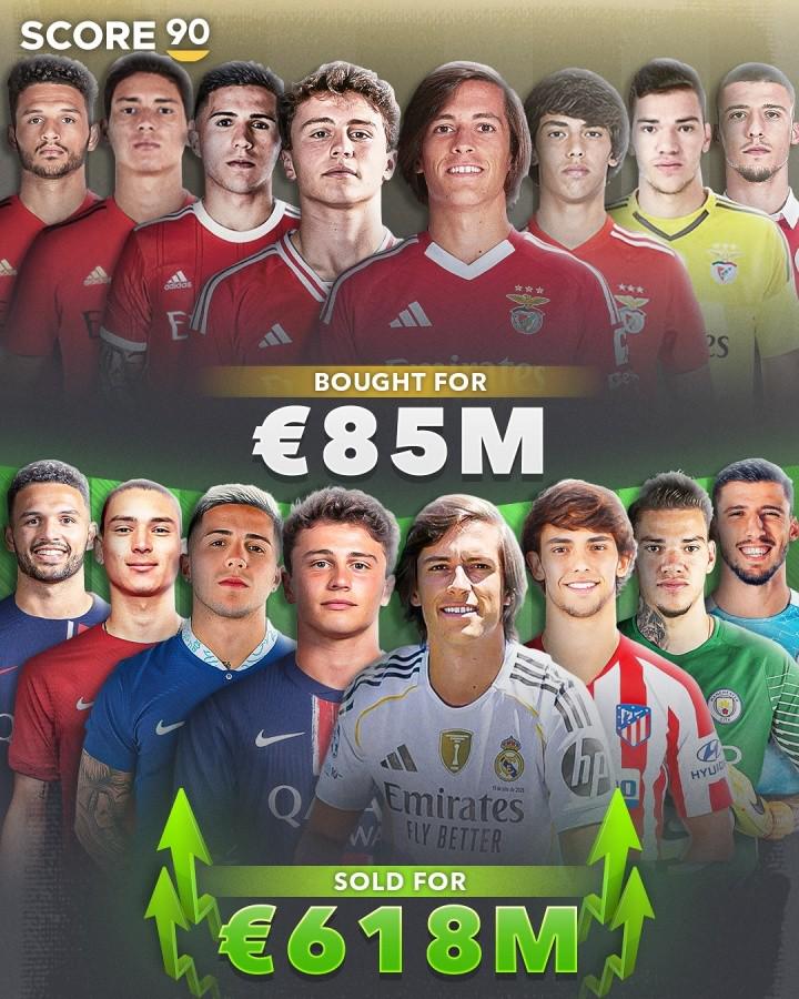 万欧引进, 收入