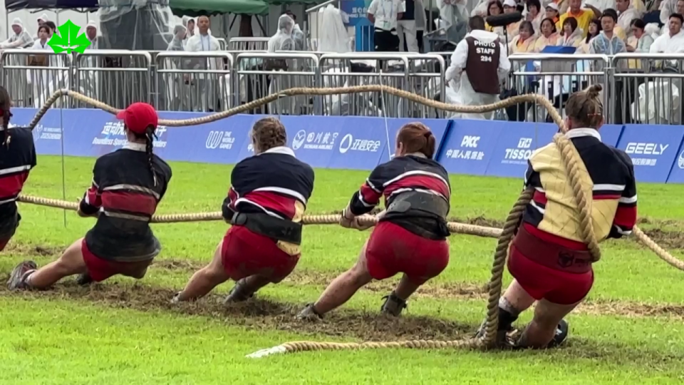 com, msvZw com, msvZw