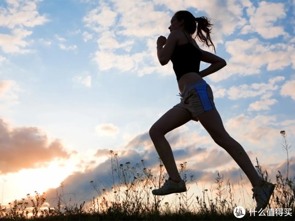肌肉的, 提升心率, 节的细节 肌肉的, 提升心率, 节的细节