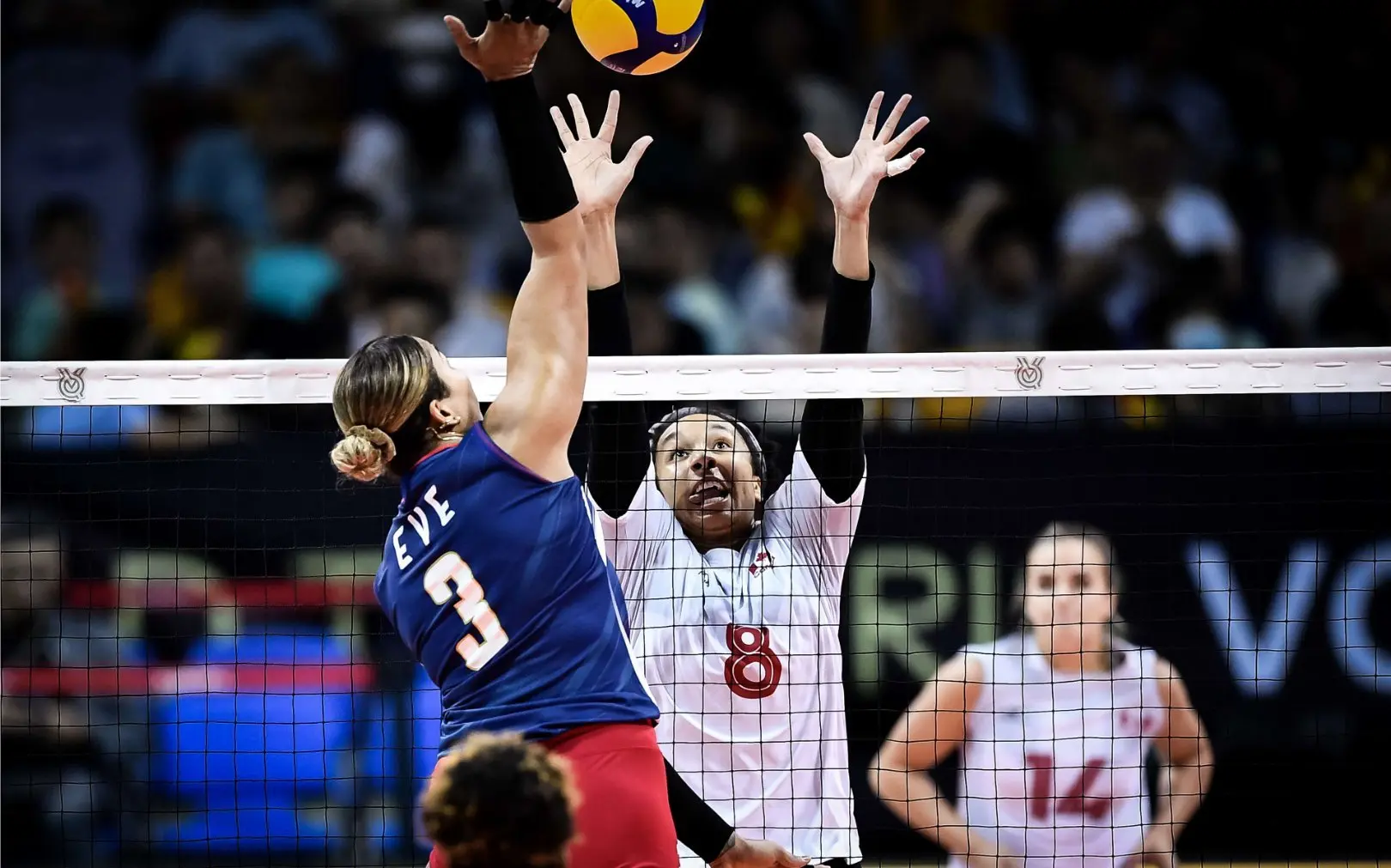 曾代表荷兰 曾代表荷兰